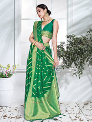 Elegant Green Organza Silk Saree
