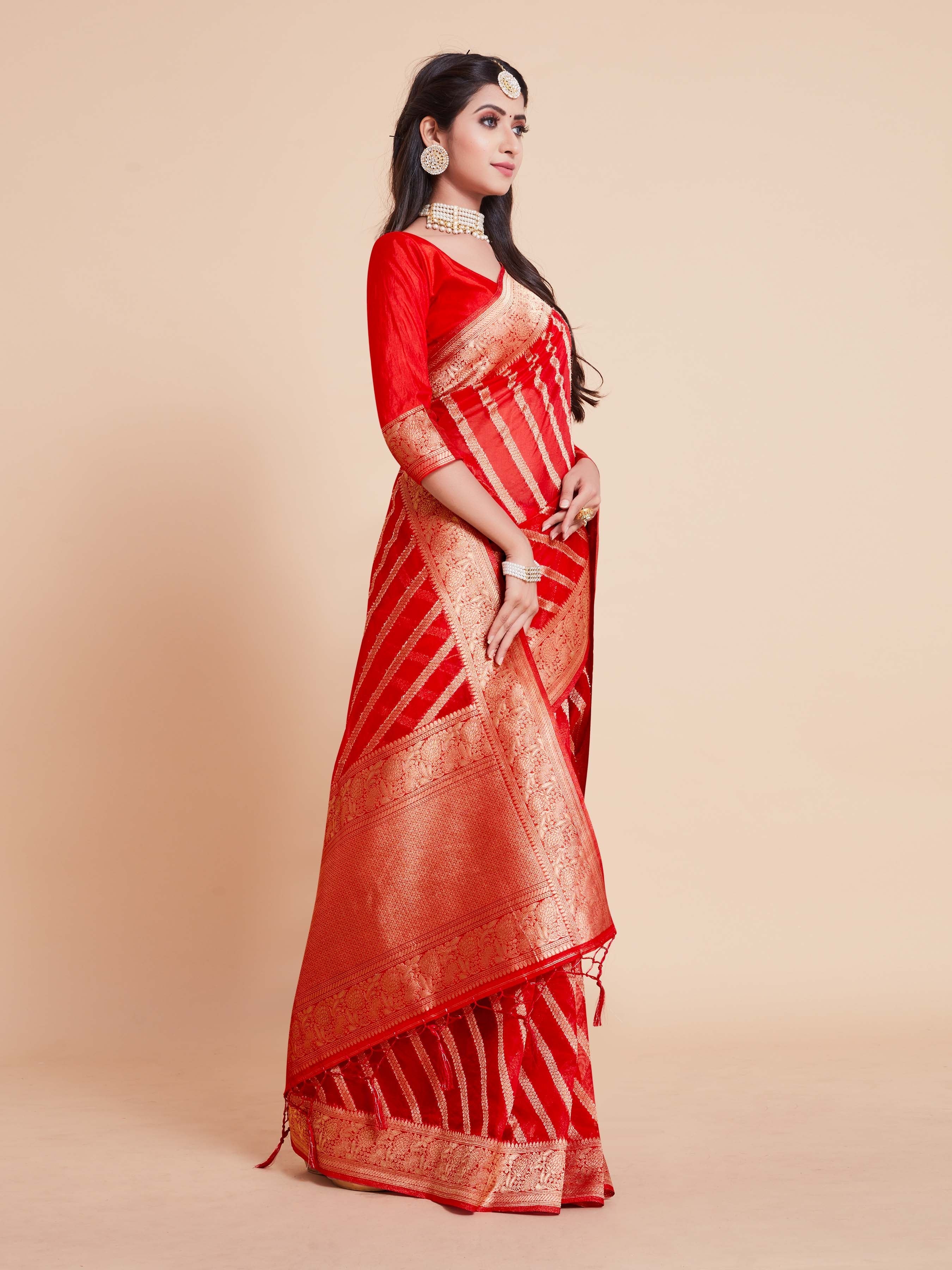 Elegant Red Organza Silk Saree